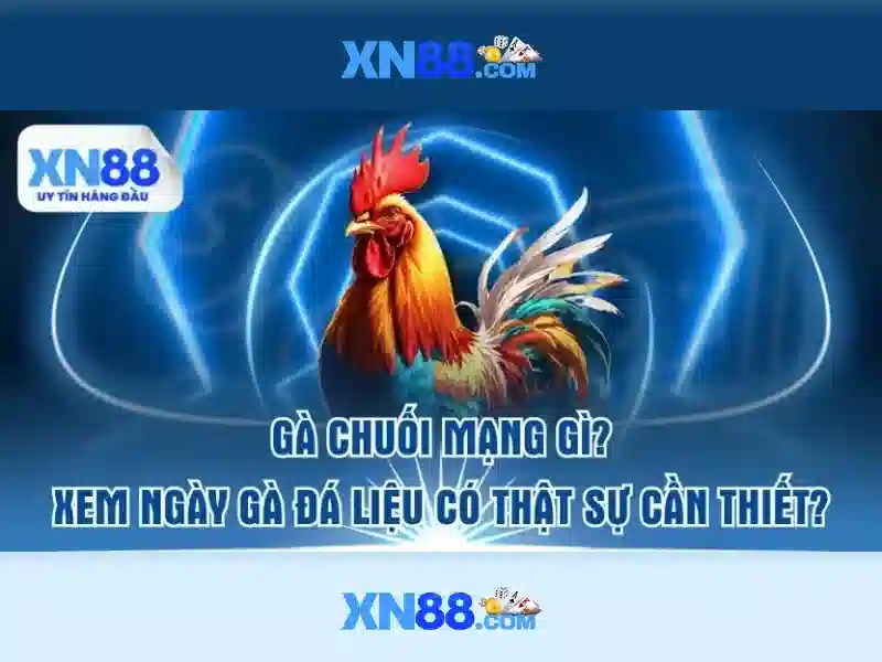 Giao diện trang chủ rút tiền XN88 chuyên nghiệp và bảo mật