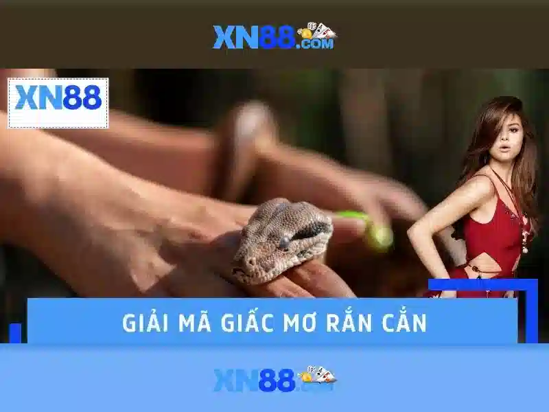 Hướng dẫn tham gia và thanh toán