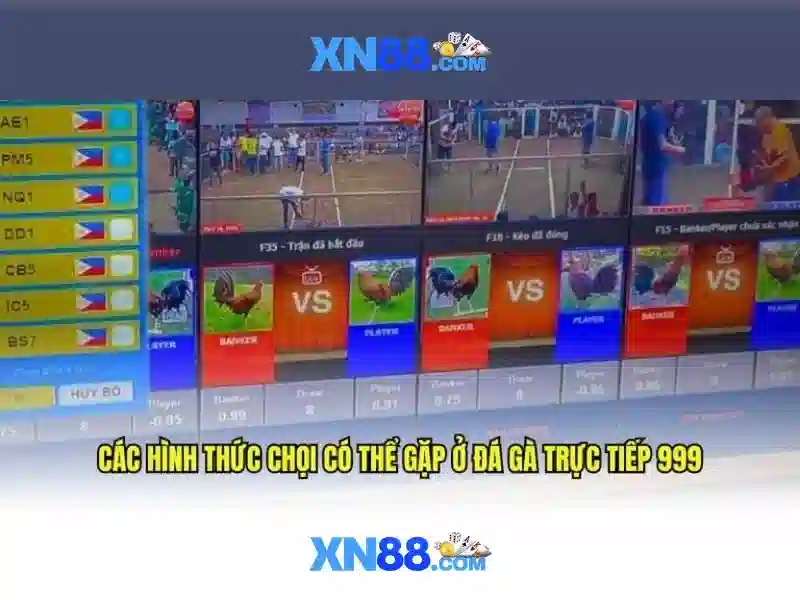 Nền tảng cá cược trực tuyến an toàn