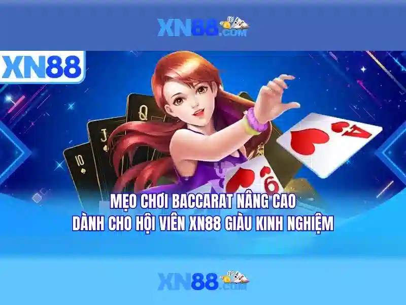 An toàn và pháp lý cho người chơi