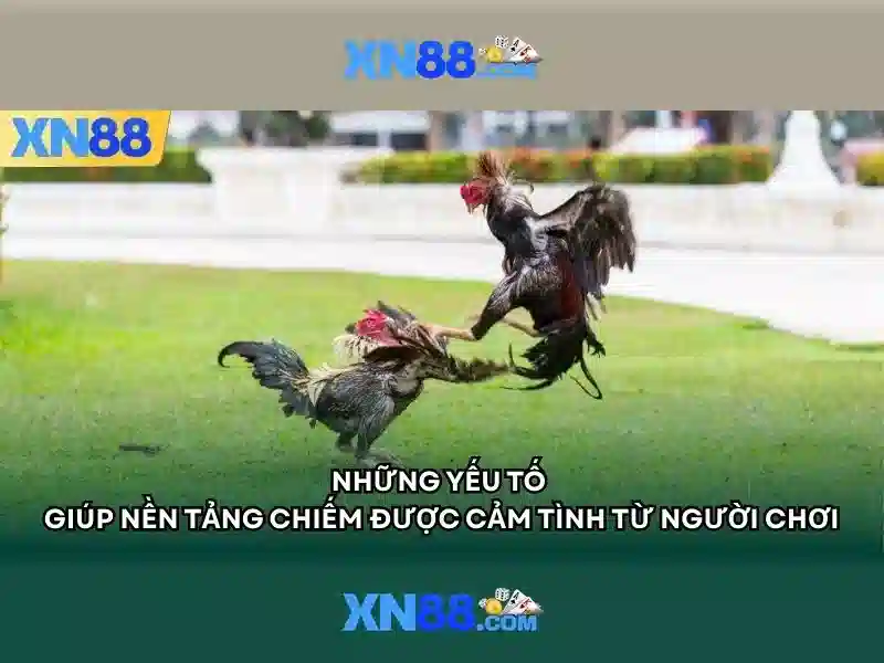 An toàn và bảo mật tài khoản