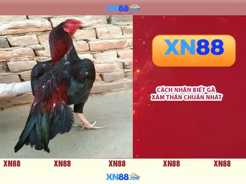 xn88: Nền tảng chơi game trực tuyến và những điều cần biết
