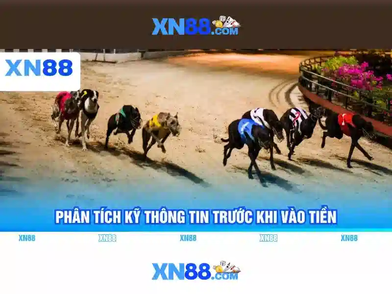 An toàn và trách nhiệm khi sử dụng xn88