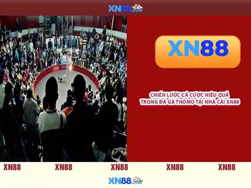 Lịch sử và nguồn gốc của XN88