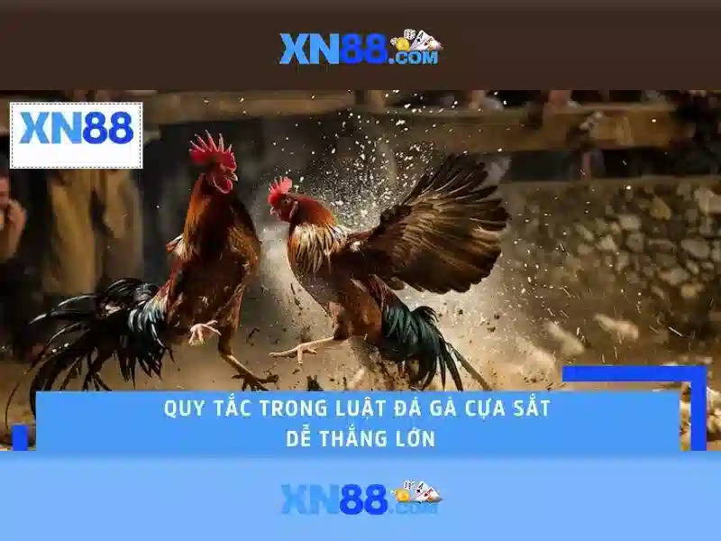 xn88: cái nhìn tổng quan