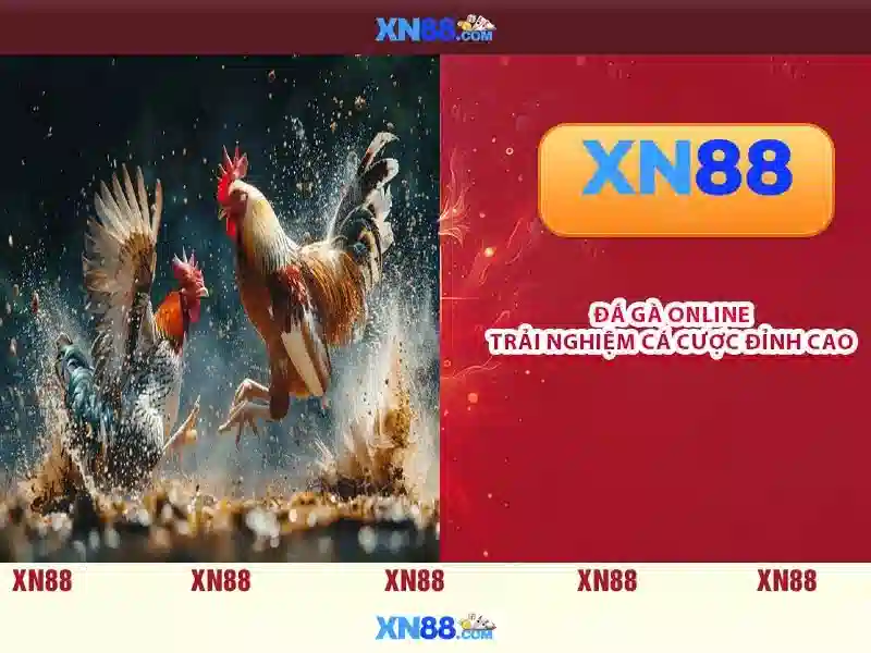 Hướng dẫn bắt đầu và mẹo chơi