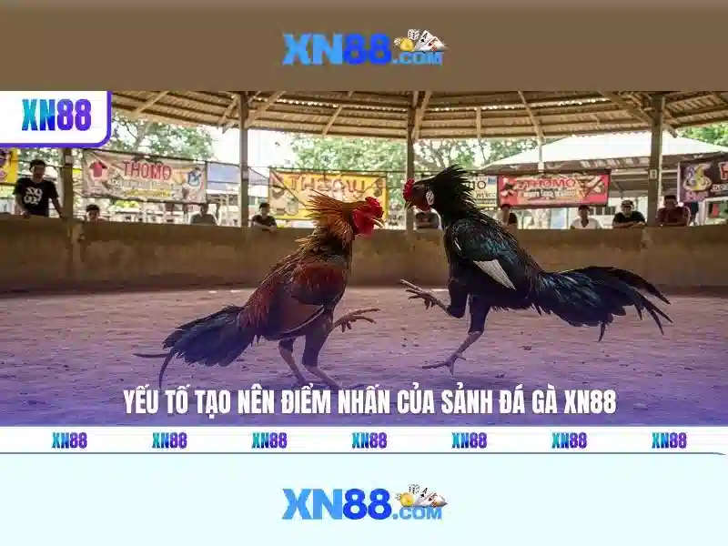 xn88 là gì