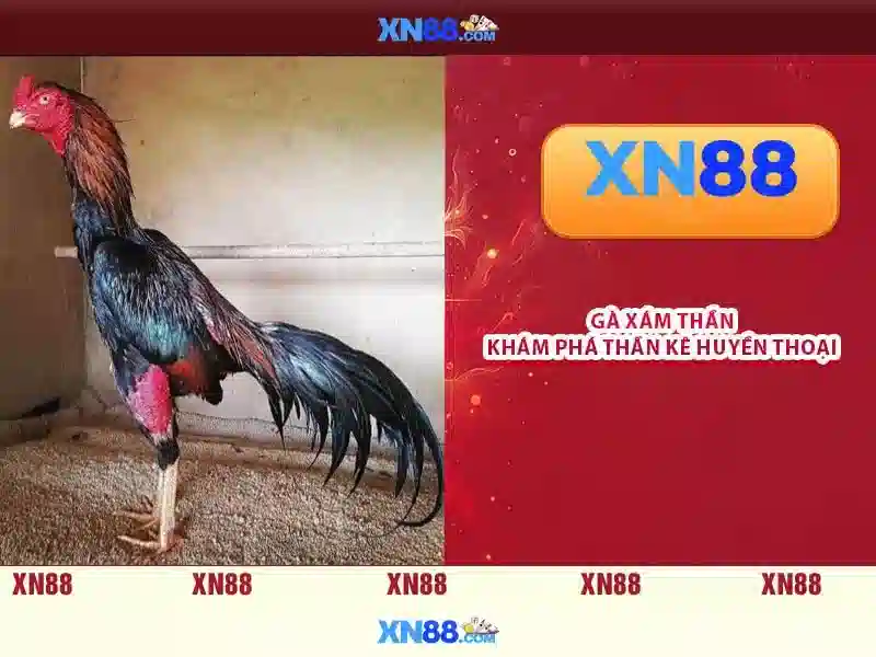 Xn88: Nền tảng chơi game trực tuyến và đánh giá