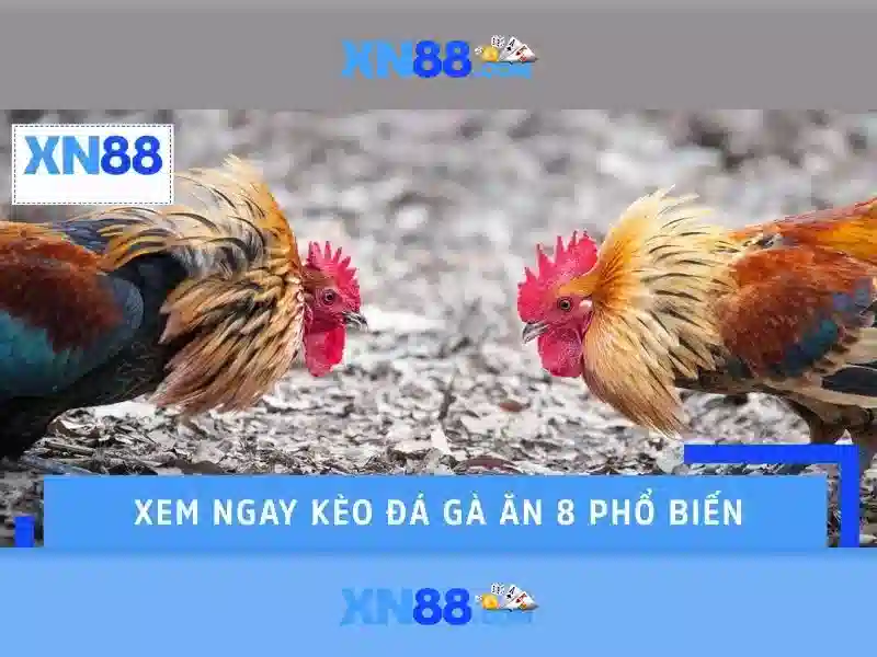 Các dịch vụ nổi bật