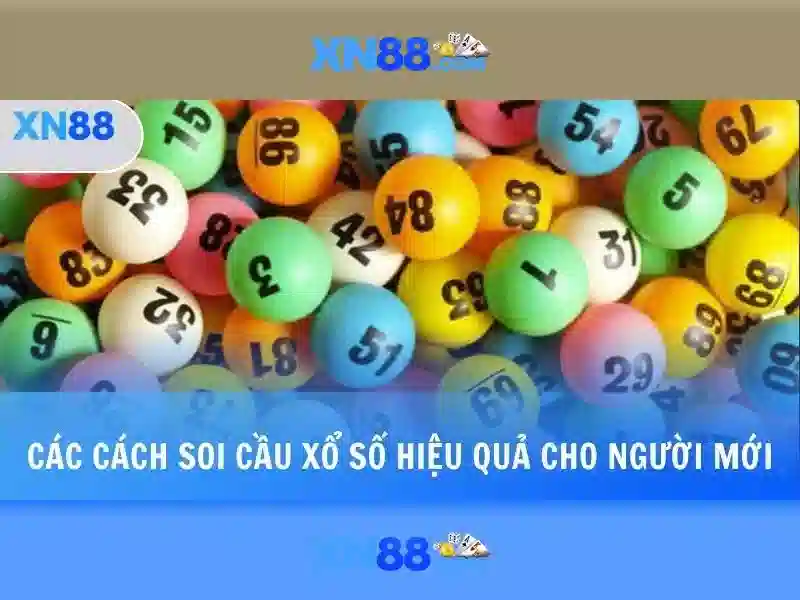 xn88 – Tổng quan về nền tảng cược trực tuyến