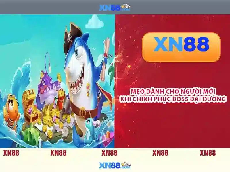 Tính năng nổi bật của xn88