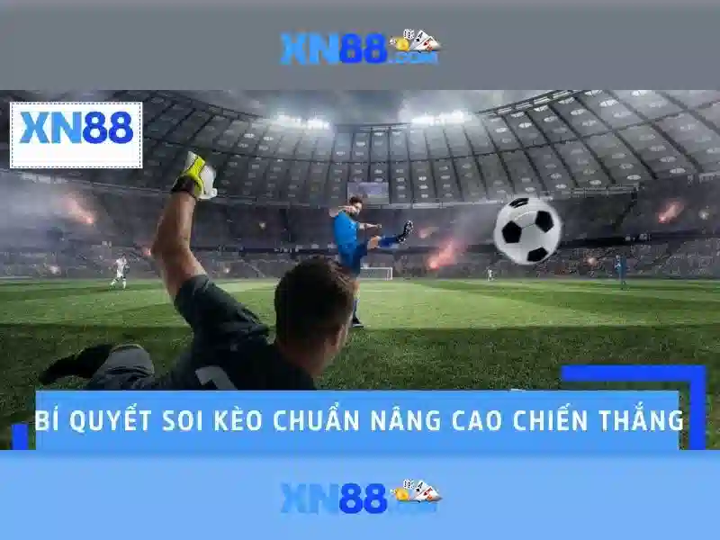Các sản phẩm và trò chơi