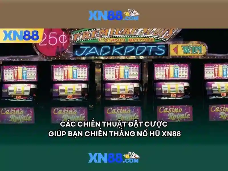Giao diện và trải nghiệm người dùng