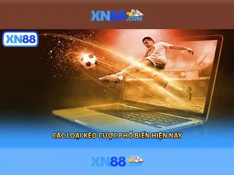 xn88: Tổng quan về nền tảng và ứng dụng