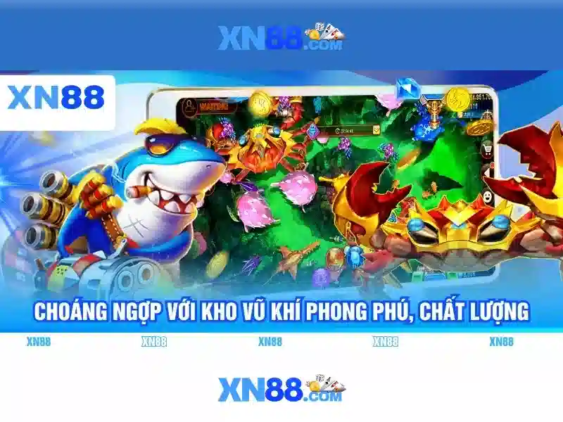 Giới thiệu về xn88