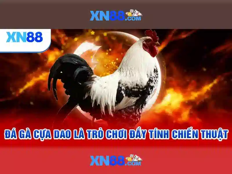 Về xn88