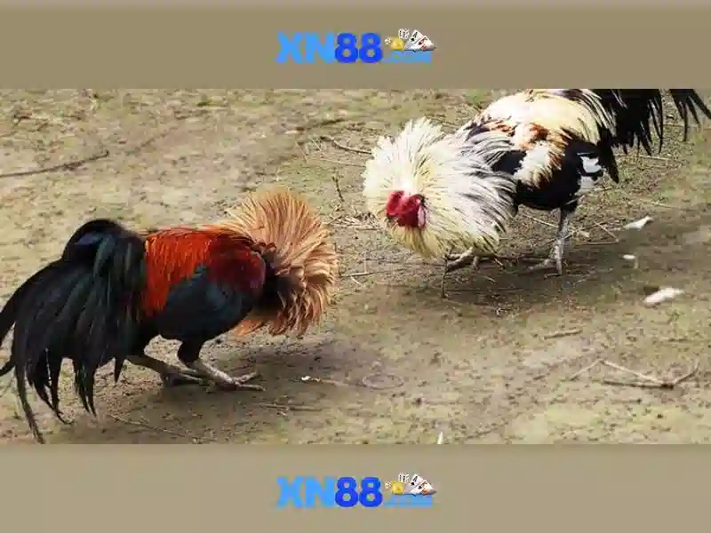 Tu-dong-tu-chan-nguoi-choi