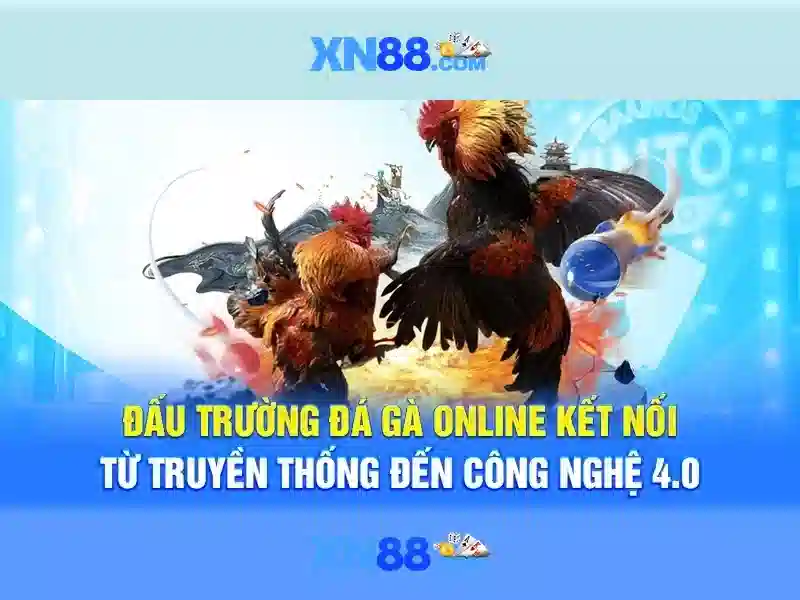 Nền tảng và trò chơi