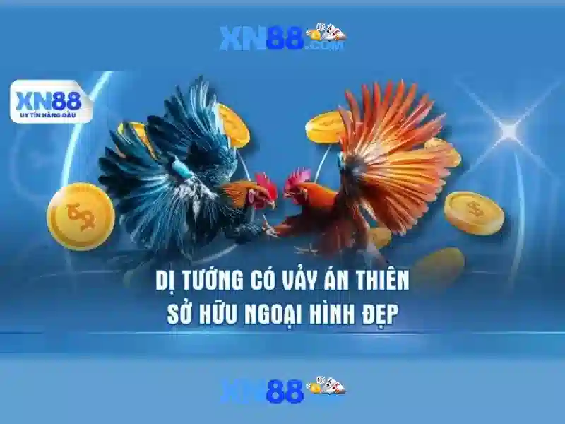 Thông tin về nguồn gốc tên gọi