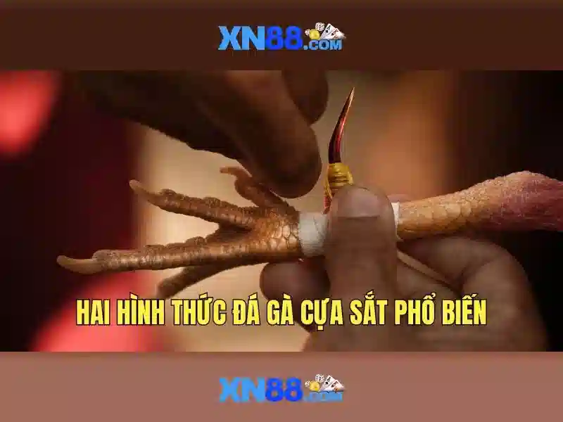 Lịch sử và sứ mệnh
