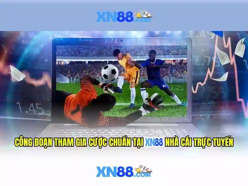 Hướng dẫn tham gia và rút tiền