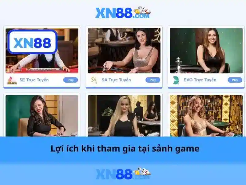 Nền tảng và sản phẩm chính
