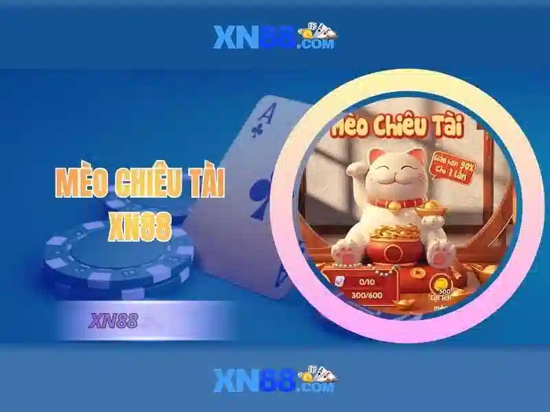 Lịch sử và nguồn gốc của xn88