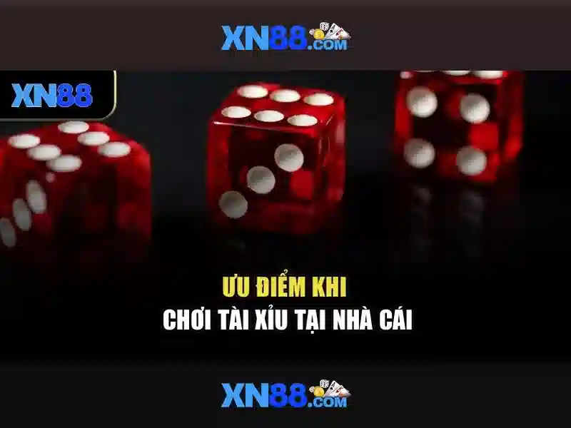Nền tảng và tính năng