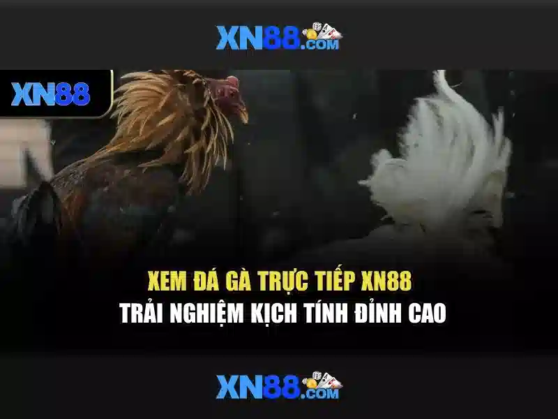 xn88: Tổng quan về sân chơi online