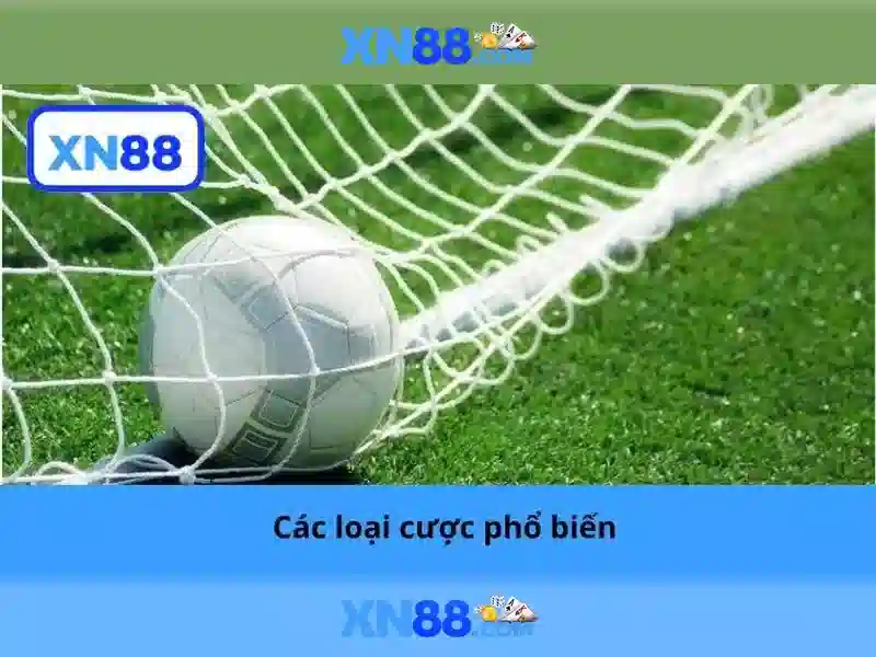 Cộng đồng và tác động xã hội của xn88