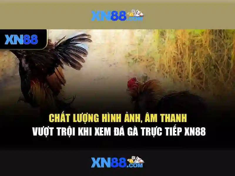 Tính năng nổi bật của xn88