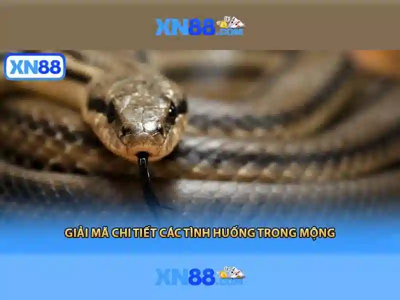Gioi thieu ve xn88