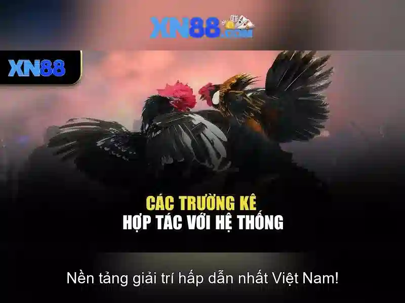 Các tính năng nổi bật