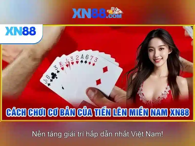 An toàn, bảo mật và cộng đồng người dùng