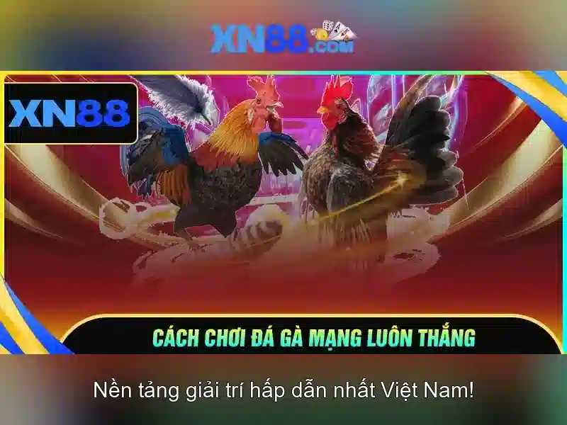 An toàn, pháp lý và lưu ý người chơi