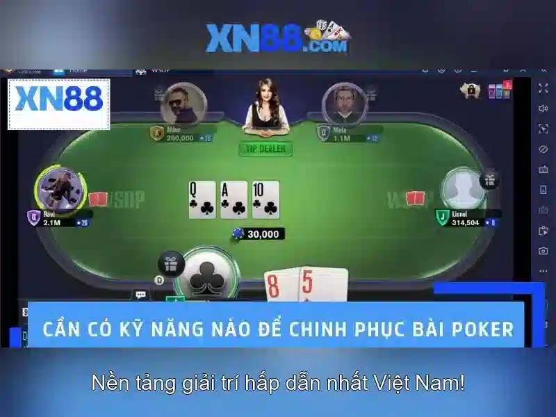 dau-hieu-can-le-dua