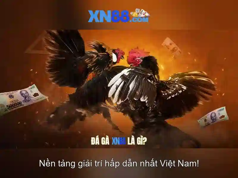 Hinh_anh_so_sanh_thi_truong_va_chuan_nhap_vao_xn88  
