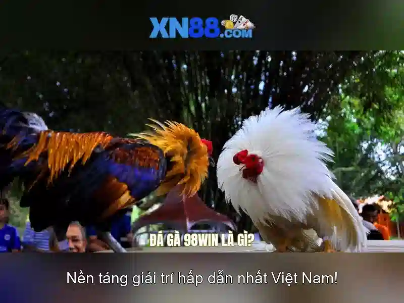 Quy trình sử dụng
