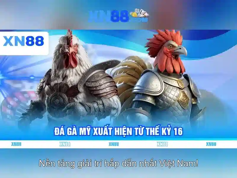 Hỗ trợ và cộng đồng