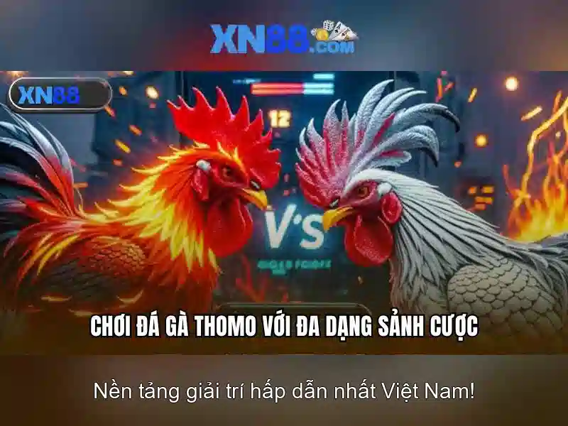 Hình ảnh các loại kèo và bảng so sánh 