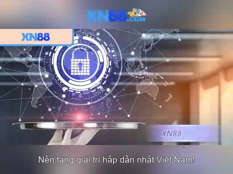 Nền tảng và các dịch vụ