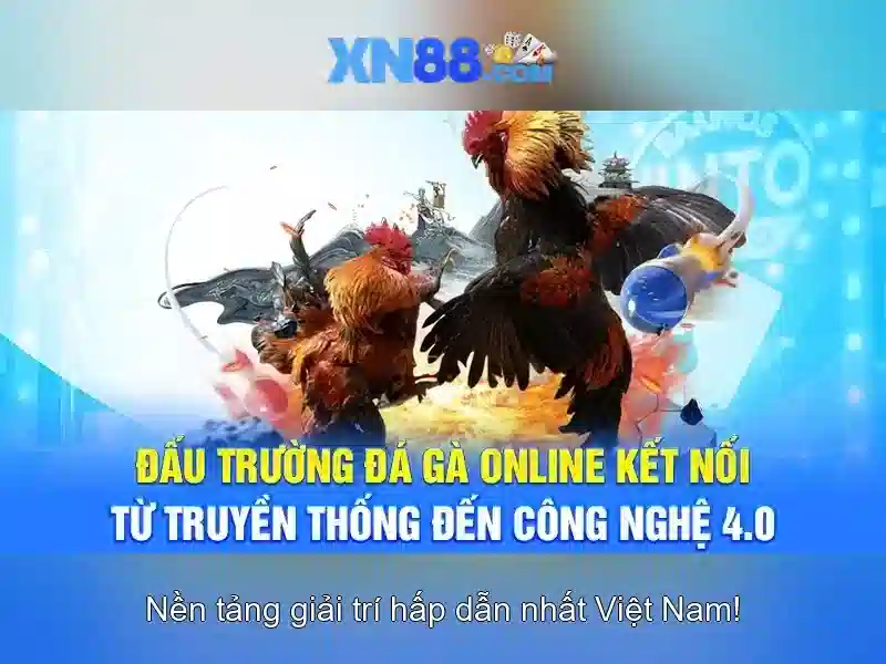 Các sản phẩm và dịch vụ của xn88