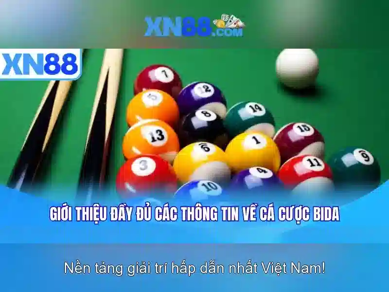 Kết luận
