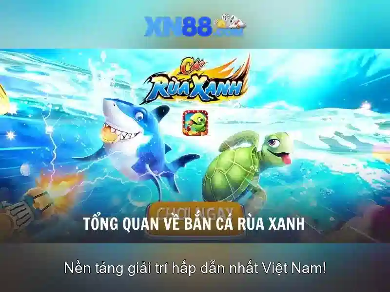 Một cái nhìn về xn88