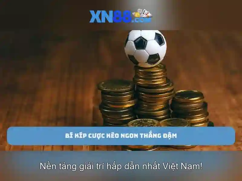 Xn88 là gì?
