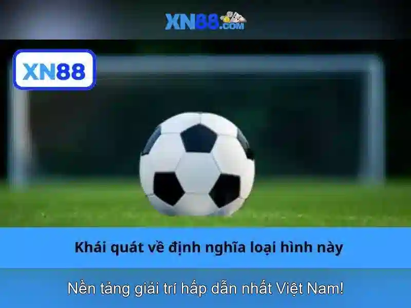 Bảo mật và điều khoản