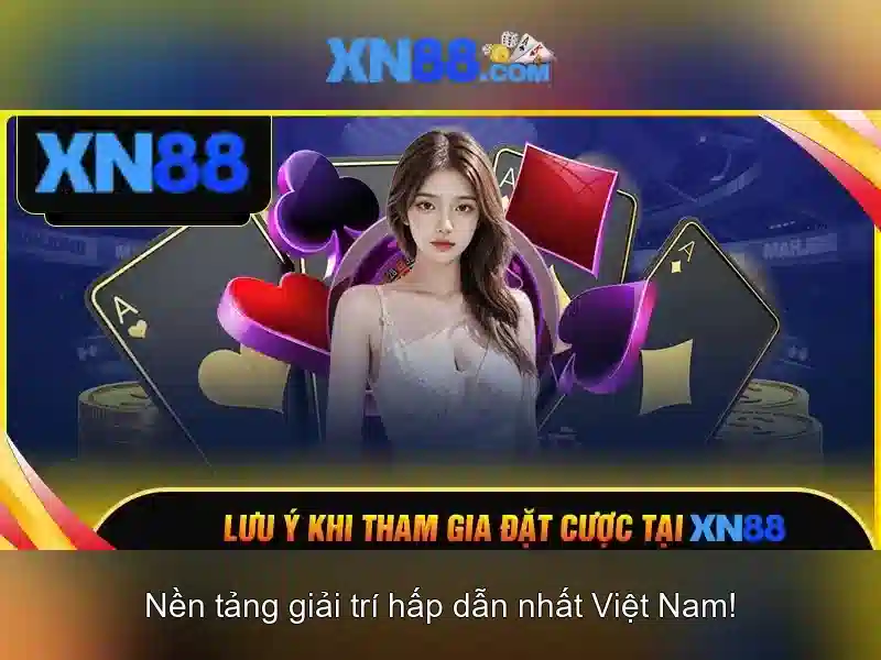 Quy định và trách nhiệm người dùng