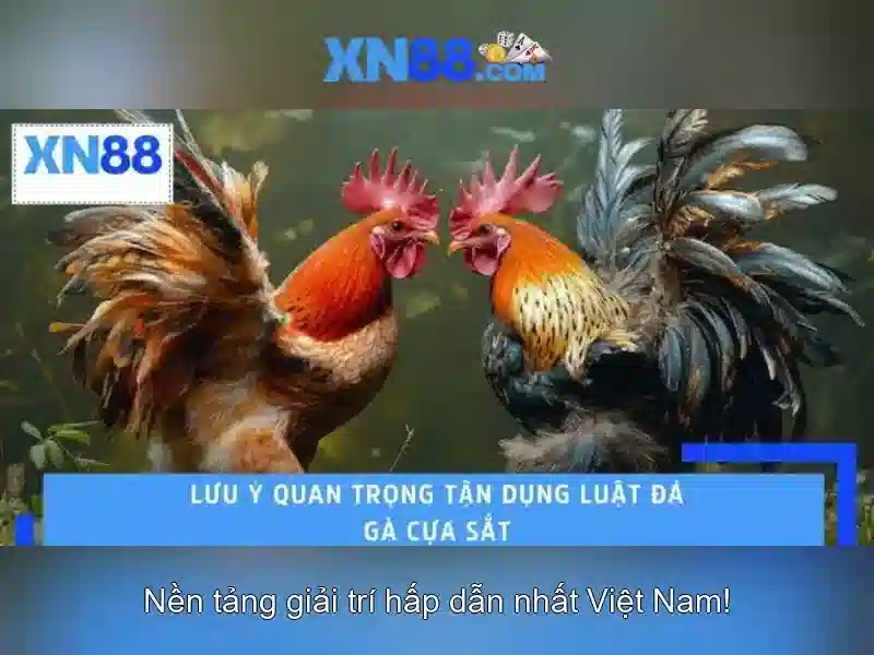Giới thiệu về xn88 và mục tiêu của bài viết