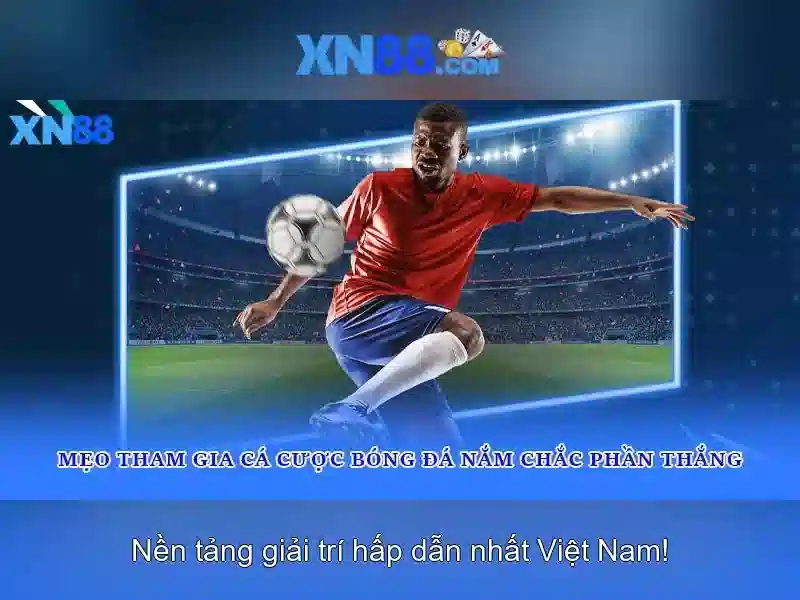 xn88 – tổng quan và hướng dẫn sử dụng