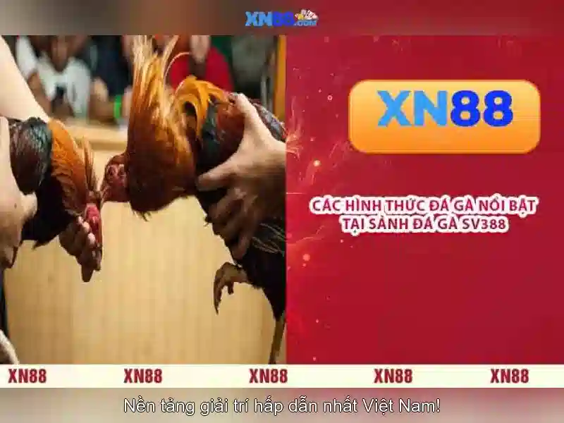 xn88 - Tổng quan và hướng dẫn cho người chơi Việt Nam